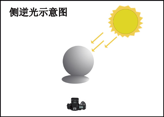 不同光線(xiàn)在攝影中(zhōng)的表現