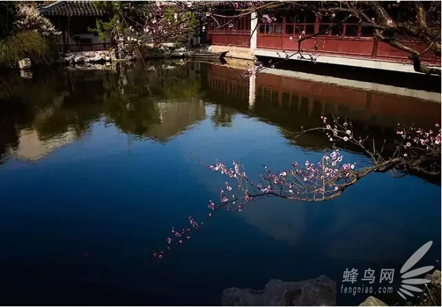 攝影入門：隻盯着最好的 你才會越來越好