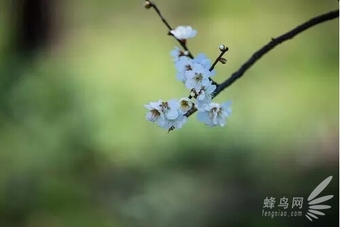 攝影入門：隻盯着最好的 你才會越來越好