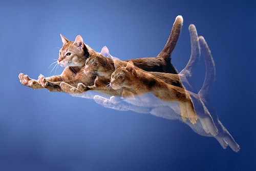 12個提升攝影創意的技(jì )巧